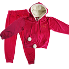 Conjunto Jaqueta com Capuz